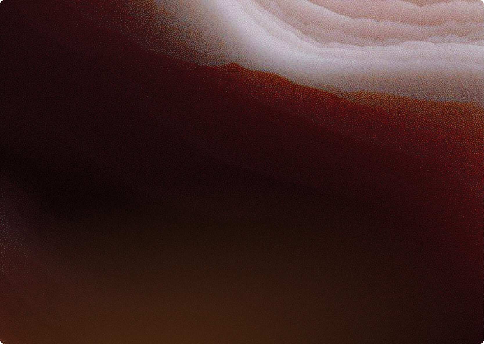 background Laurence Bazin